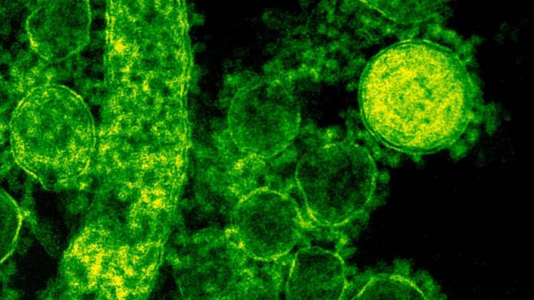 Los desafíos de la nueva variante del Coronavirus “Ómicron”